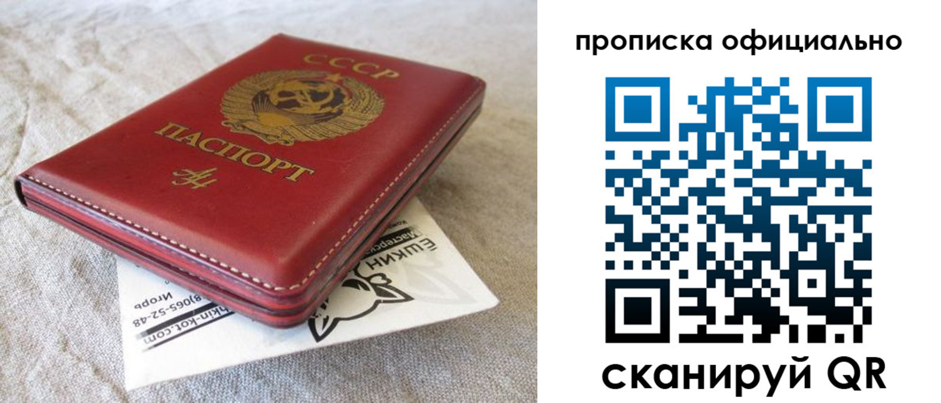 прописка иностранных граждан в Долгопрудном